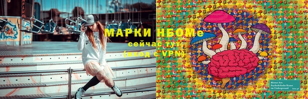 прущая мука Ельня