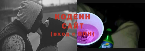 стаф Елабуга